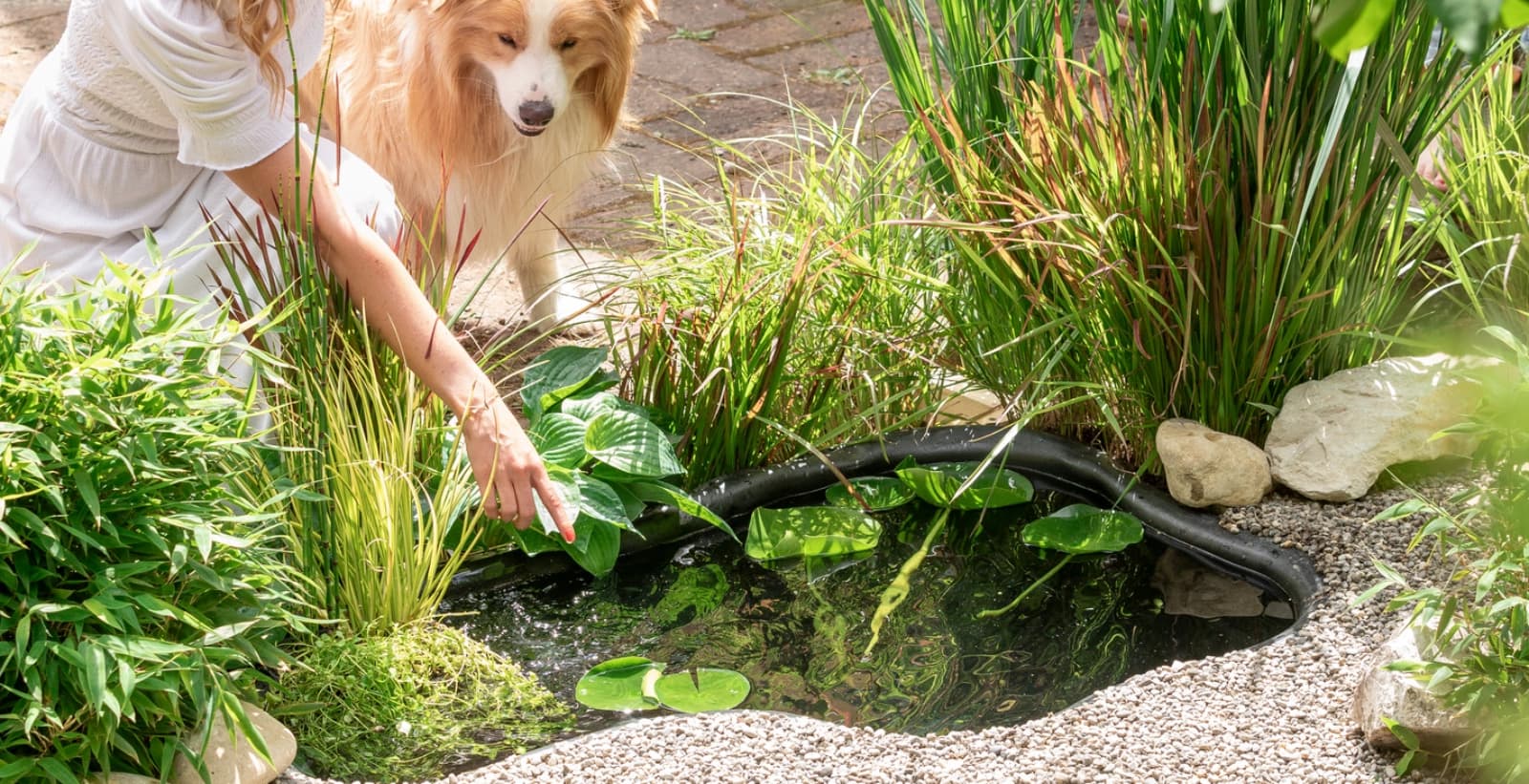 Ihre Oase im Garten