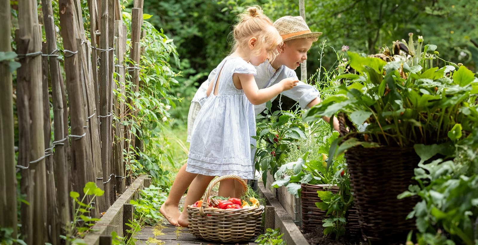 Obst und Gemüse aus eigenem Anbau