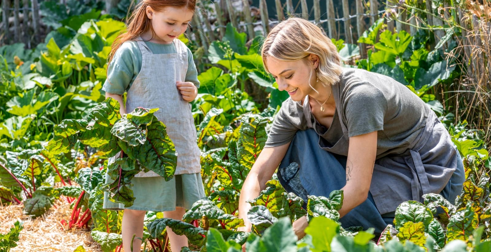 Leckeres Gemüse aus dem Bauerngarten