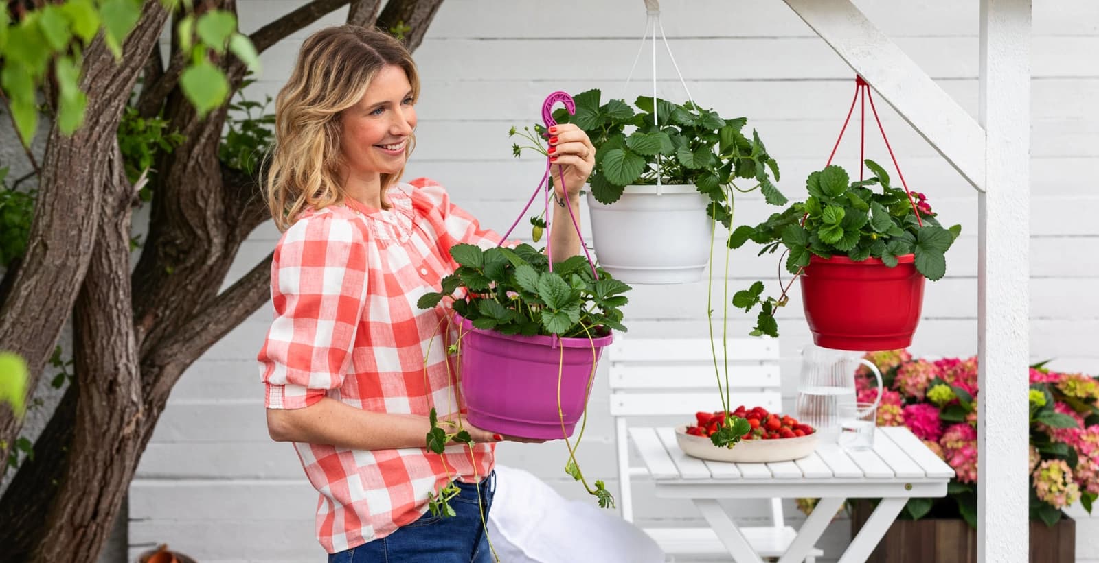 Die richtigen Startbedingungen für Erdbeeren