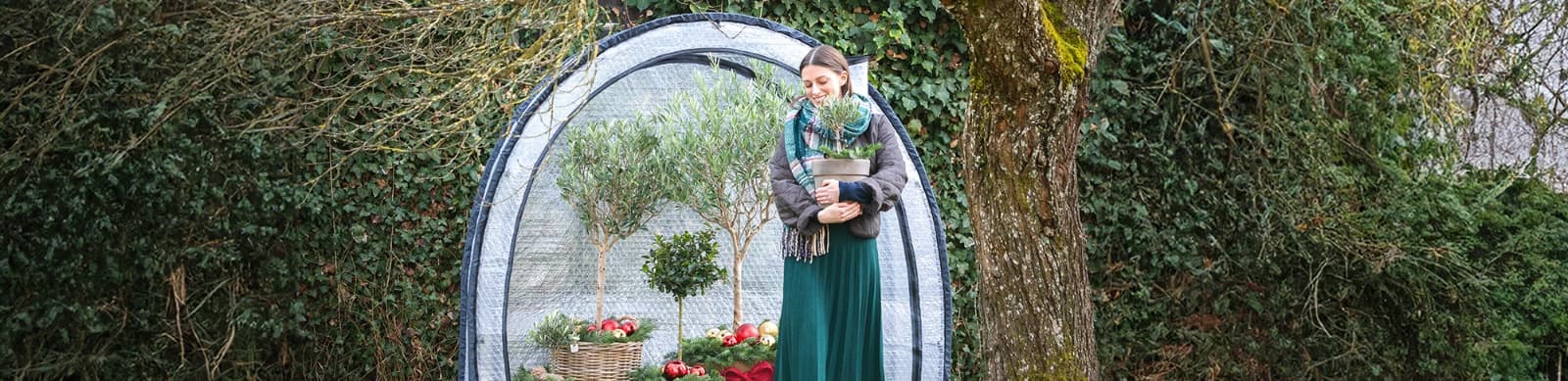 Pflanzen richtig vor Frost schützen