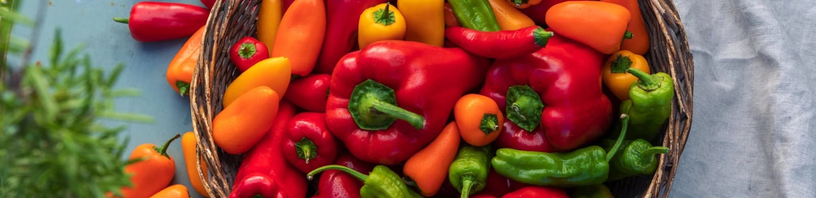 Paprika aus dem eigenen Garten genießen