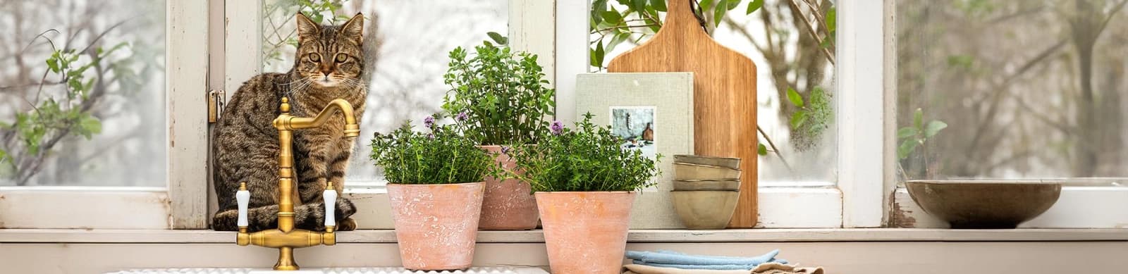 Tipps & Trends