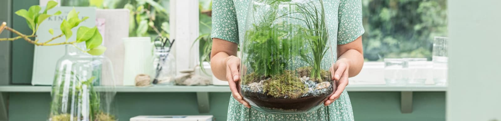 Bepflanzte Gläser – grüne Wunder im Glas