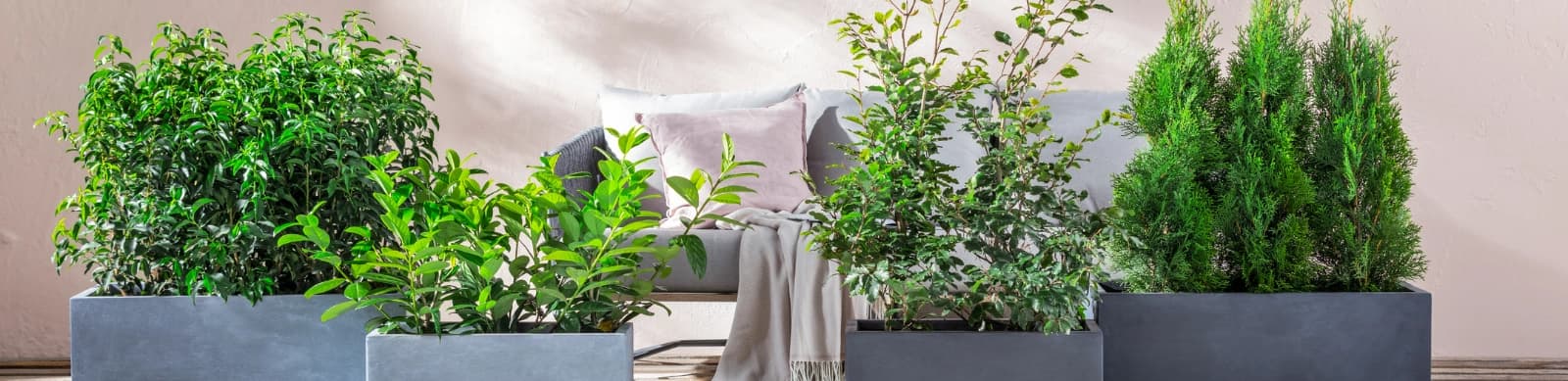 Mehr Privatsphäre im Garten: Die 5 besten Sichtschutz-Ideen