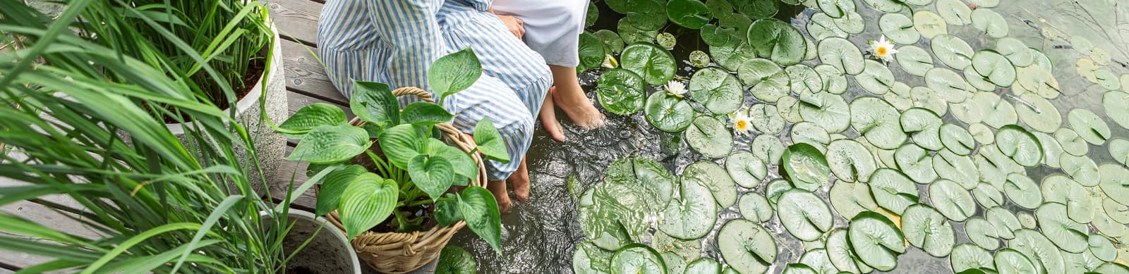 Ein Teich im Garten – Ruheoase und Wohlfühlparadies