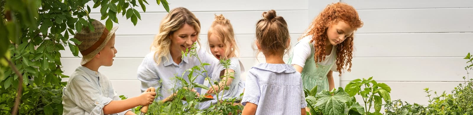 Gartenarbeiten im Juni