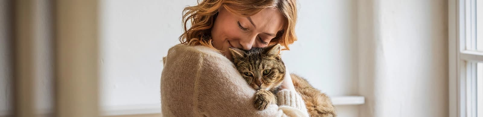 Katzenpflege – Überblick über die wichtigsten Pflegeroutinen