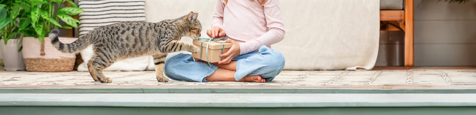 Mein Dehner Vorteilswelt: Unser Geschenk für Ihre Samtpfote