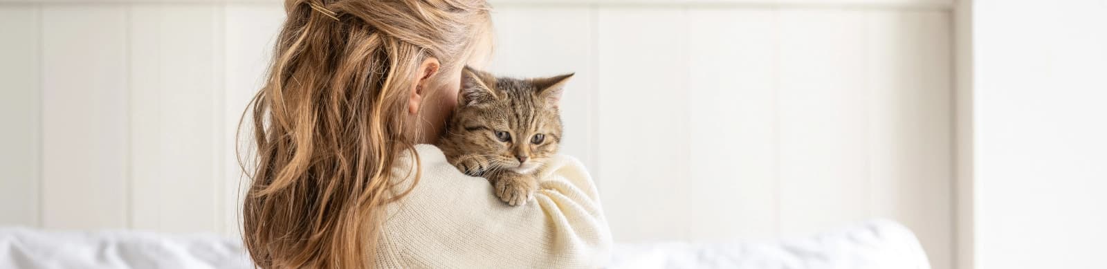 Kitten ziehen ein: Eingewöhnung, Erziehung und die richtige Versorgung