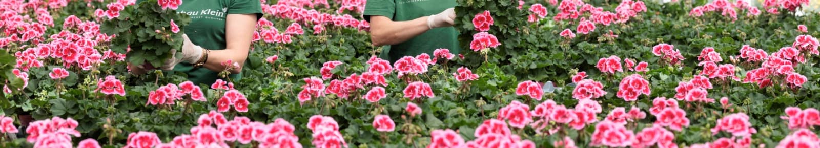 Gartenbau Klein