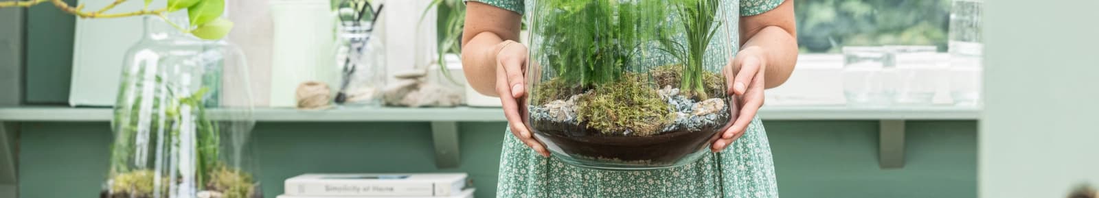 Terraristik