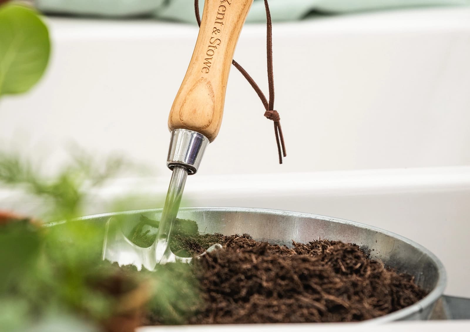 Tiere im Garten