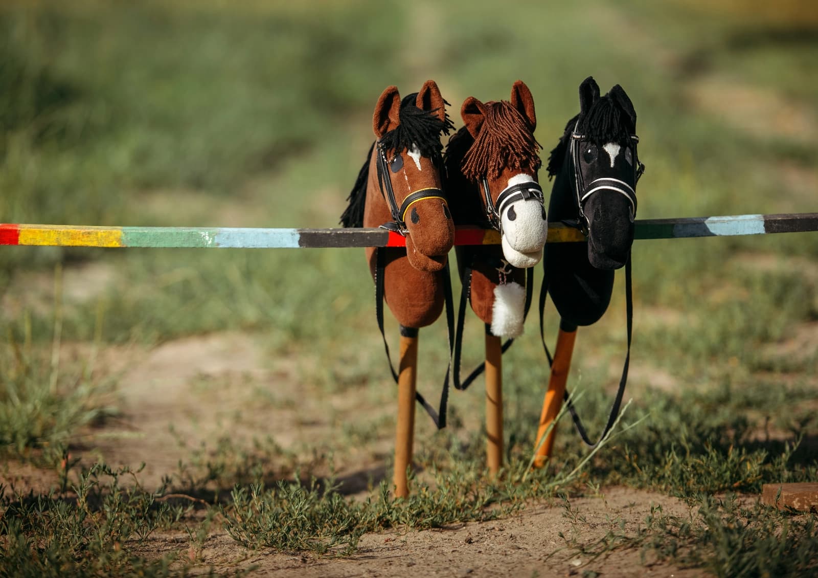 Hobby Horsing