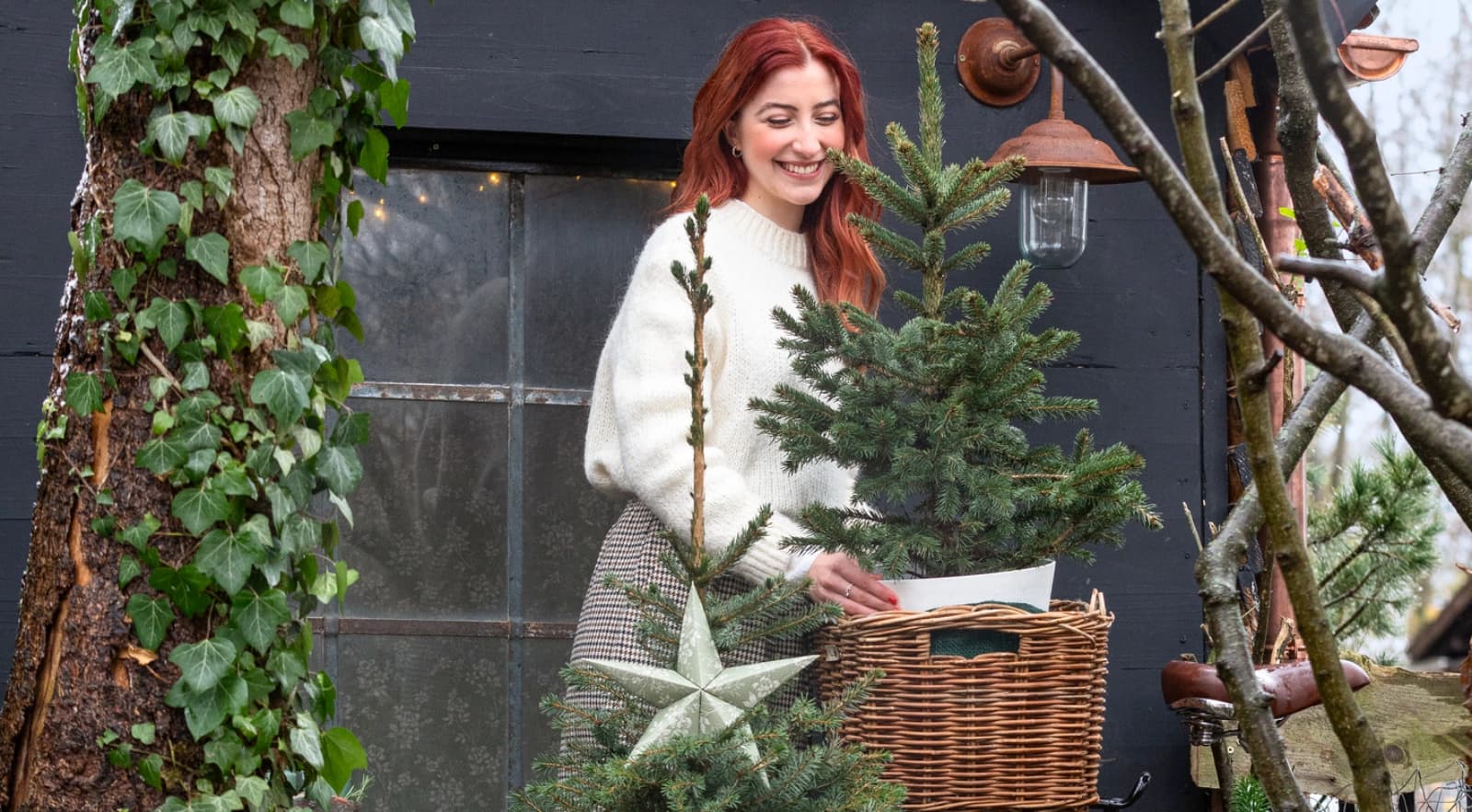 Weihnachtsbaum