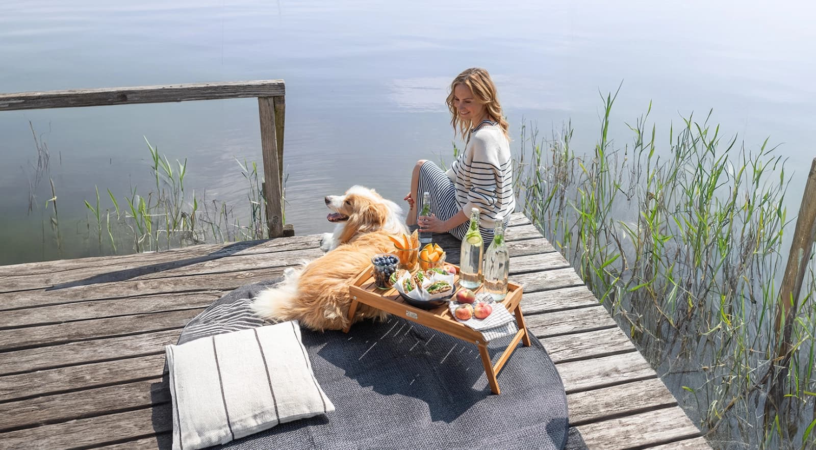 Verreisen mit Hund