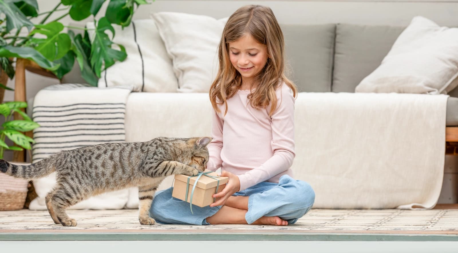Katzen­geburtstag