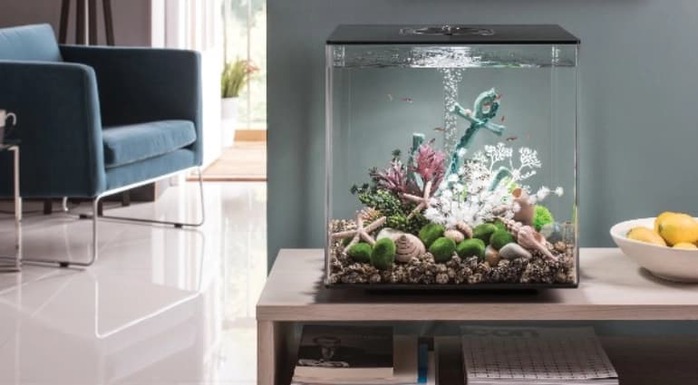 Aquarium