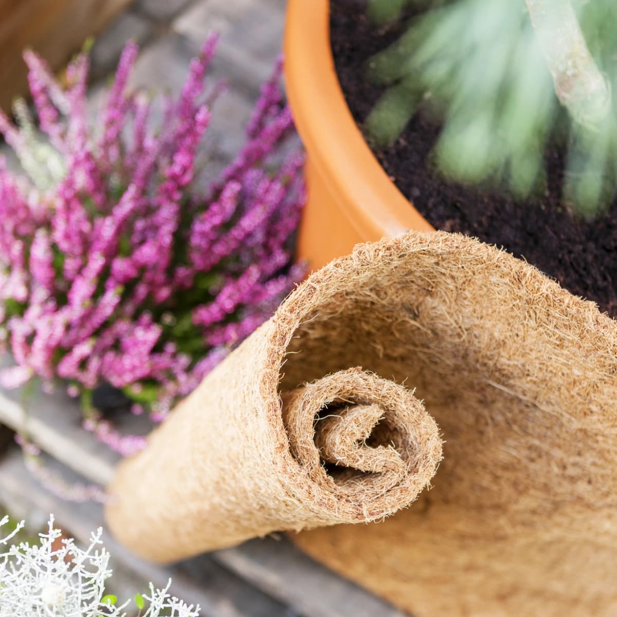 Winterschutz