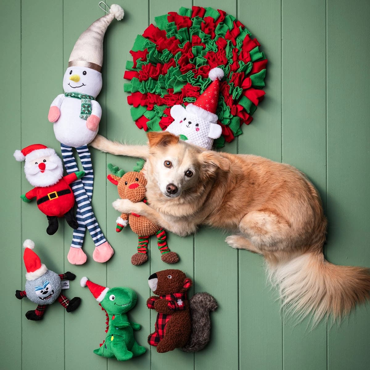 Hunde Geschenke