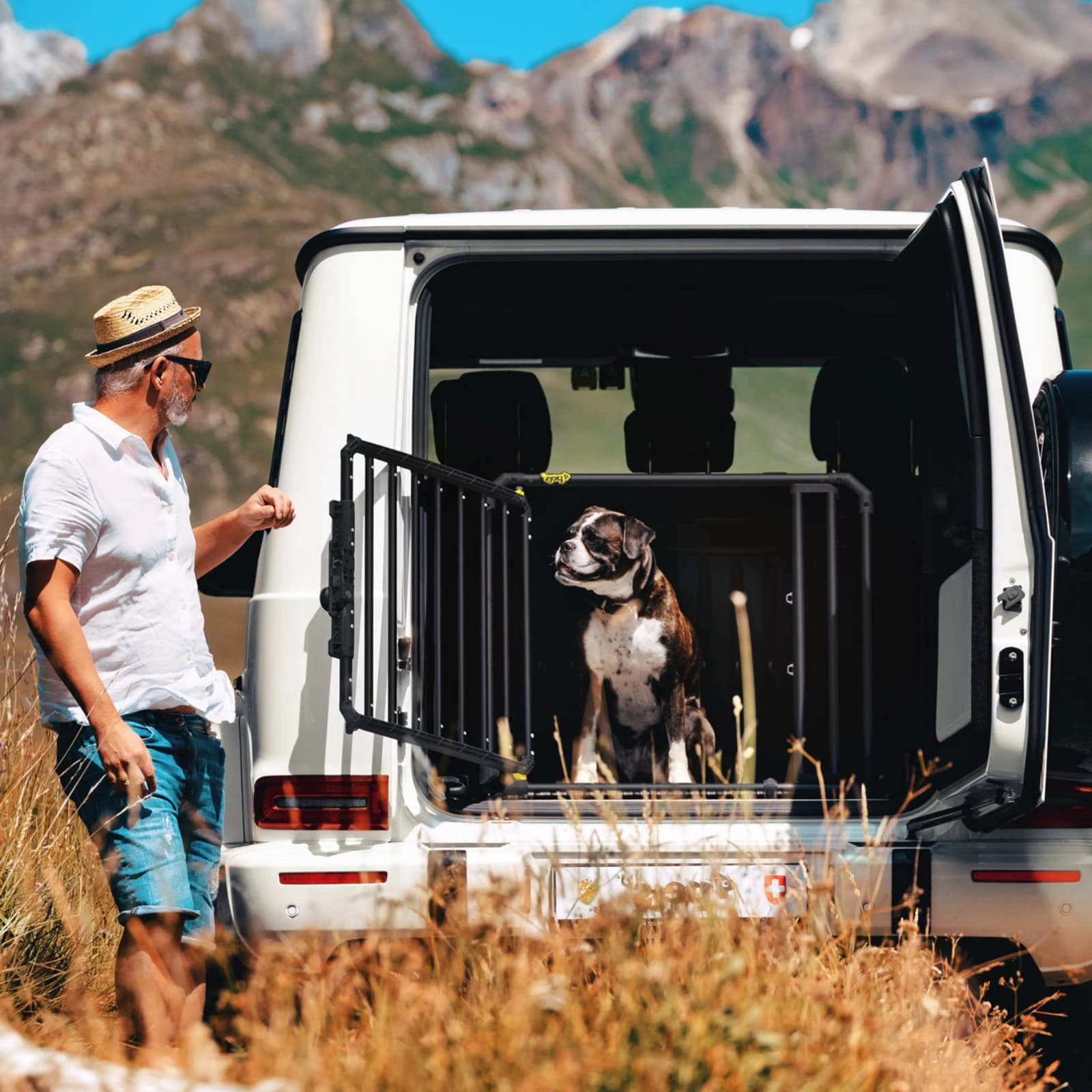 Hundetransportboxen