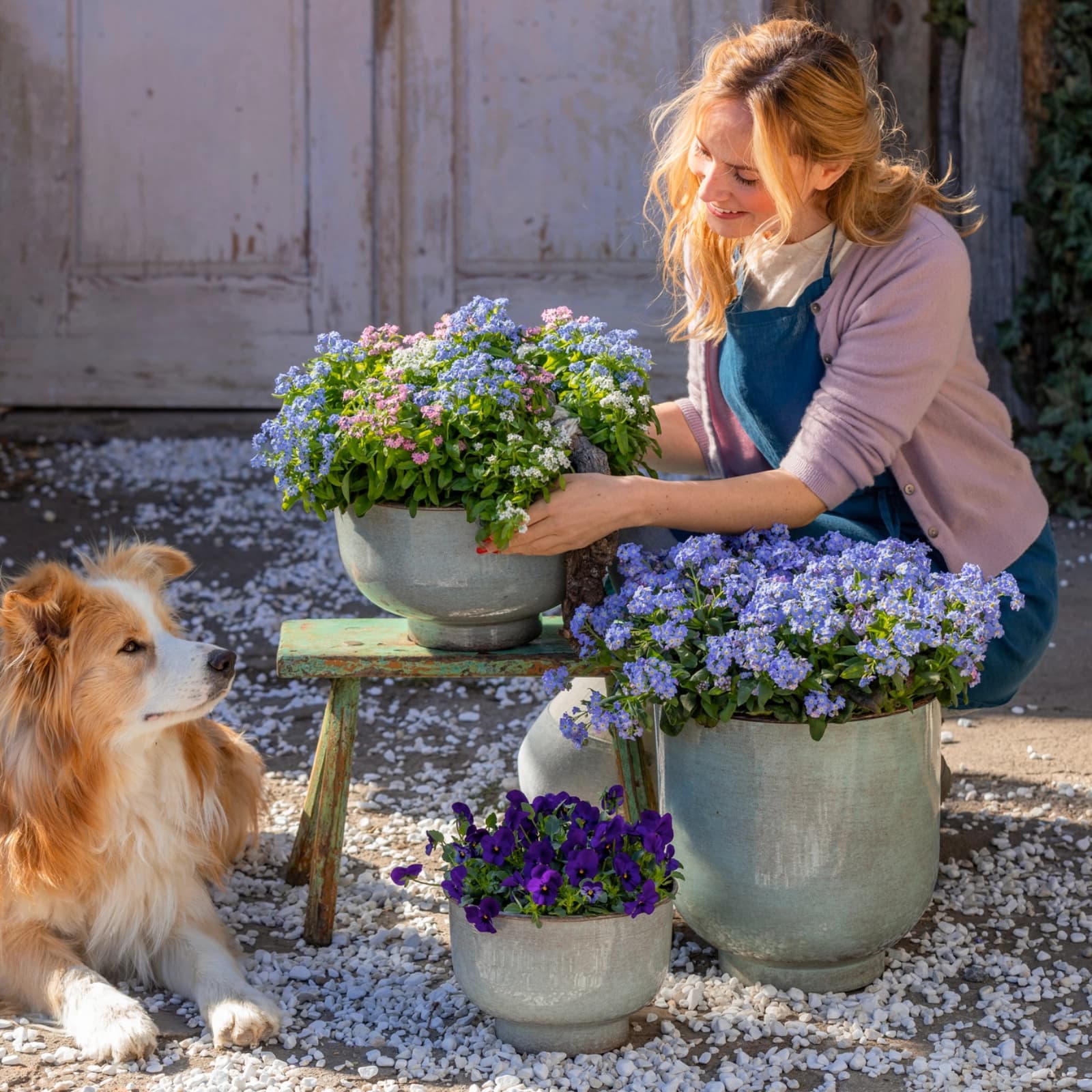 Frühling