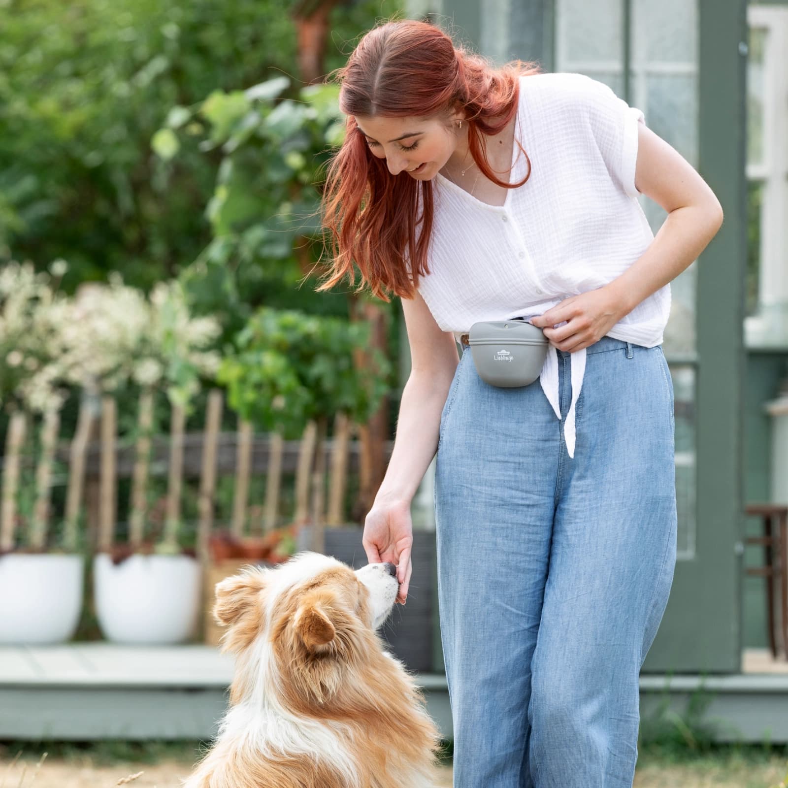Nahrungsergänzung Hund