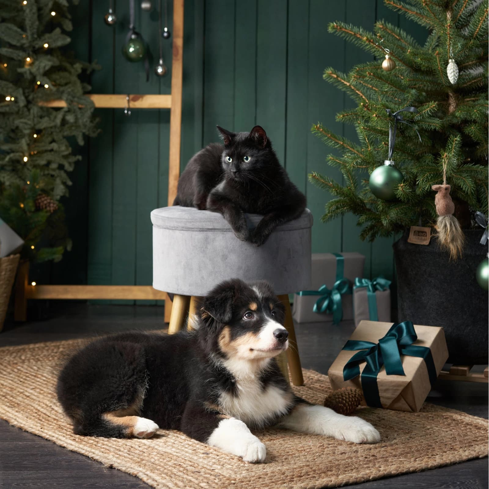 Hunde Geschenke