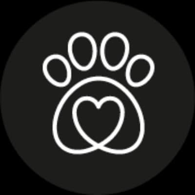 Katze