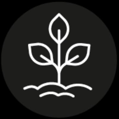 Gartenpflanzen