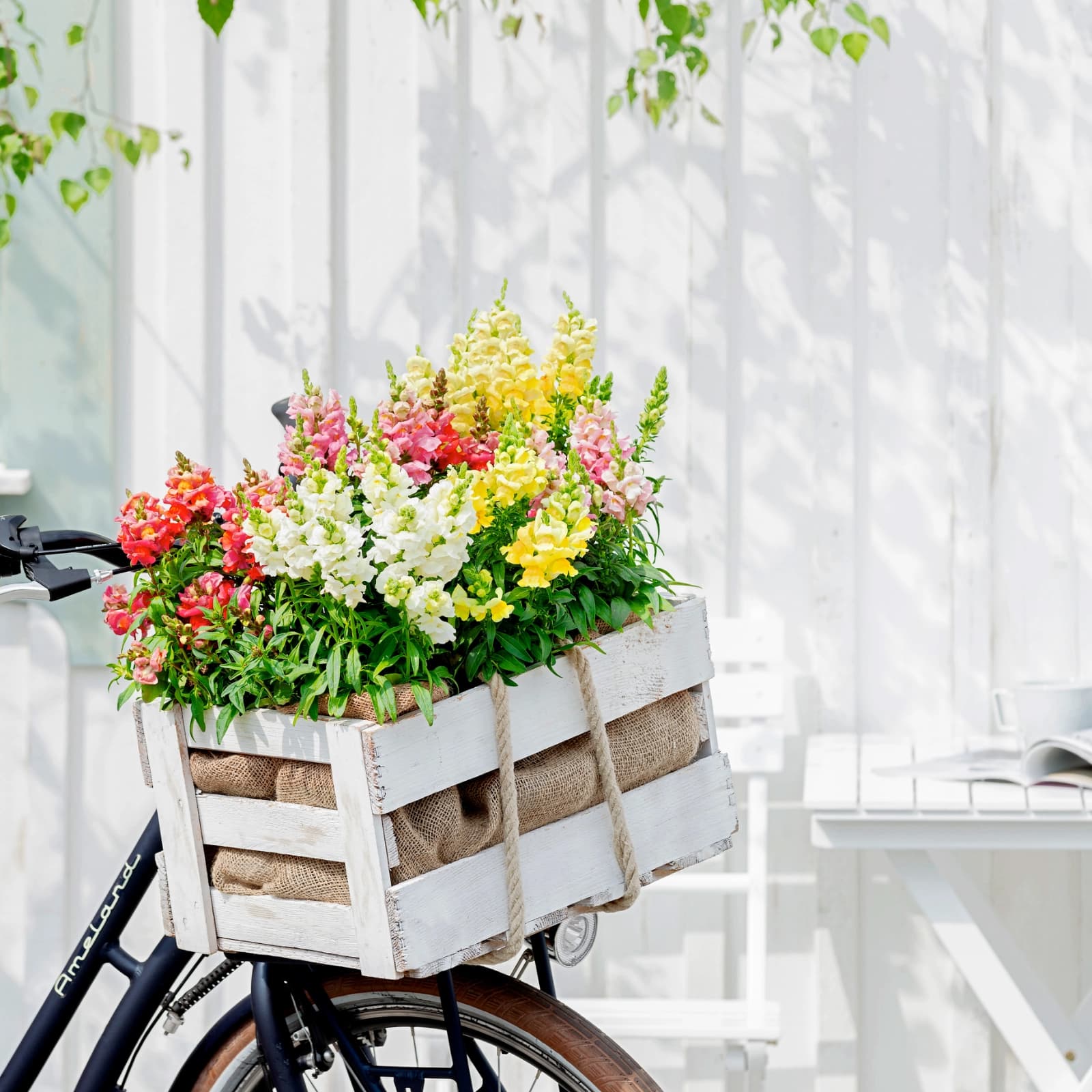 Sommer­blumen