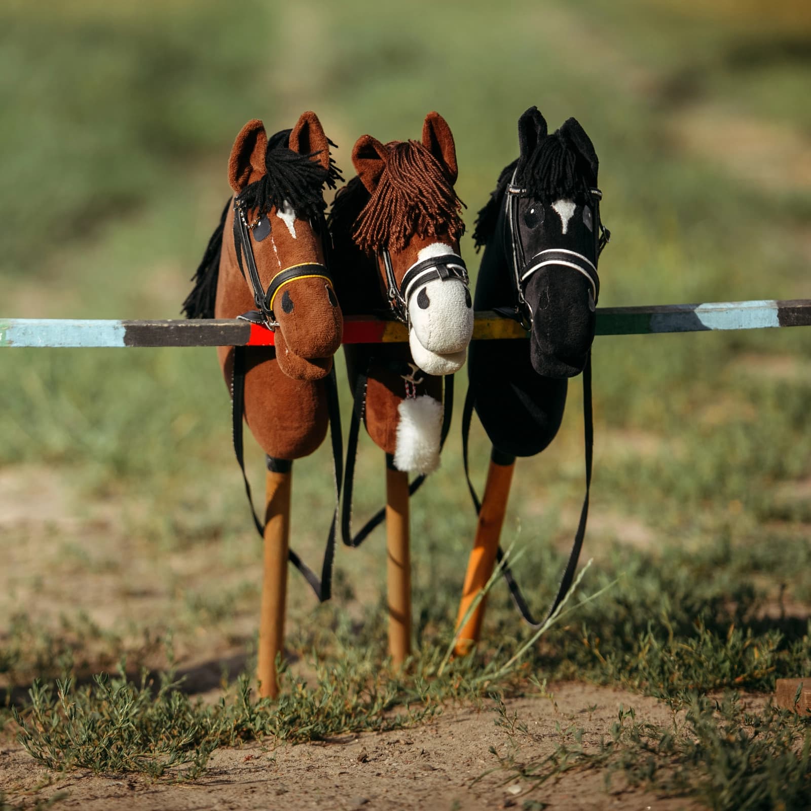 Hobby Horsing