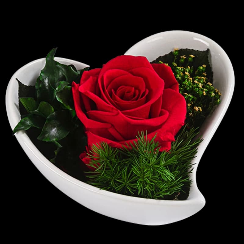 Konservierte Rosen