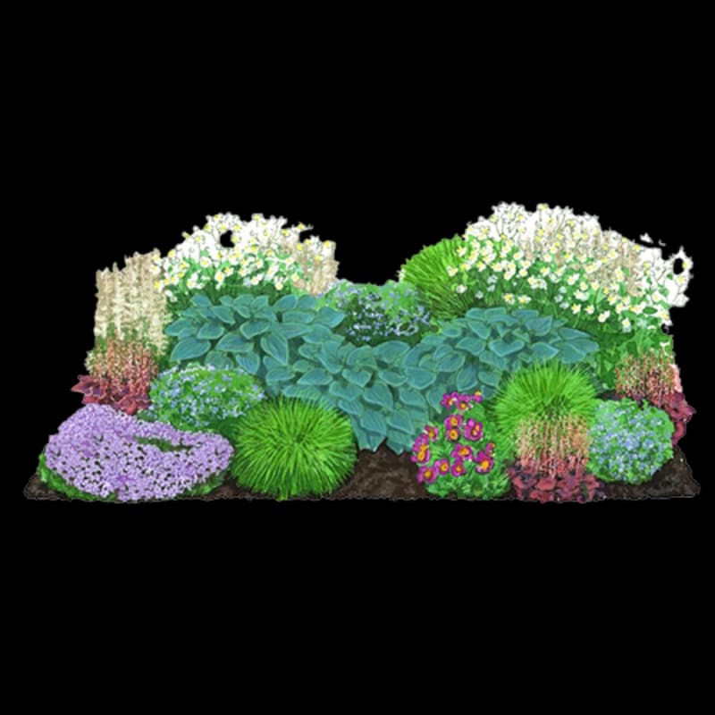 Bio-Stauden
