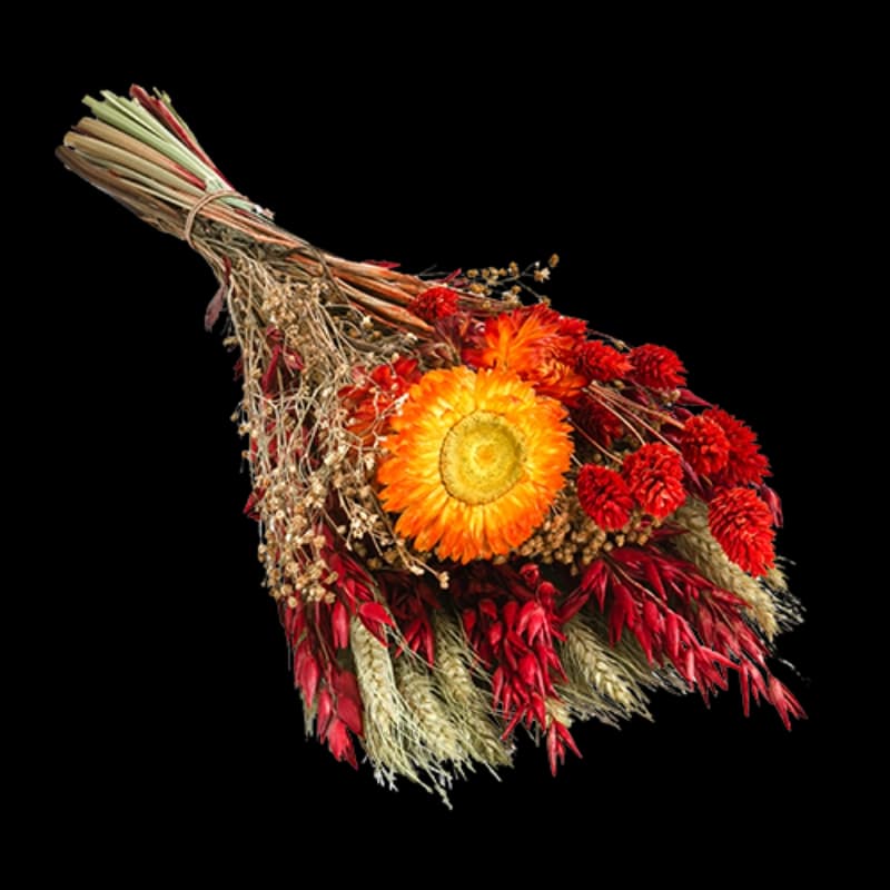 Trockenblumen