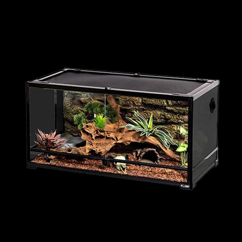 Terrarium