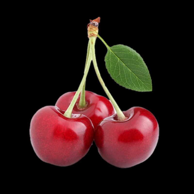 Kirschbäume
