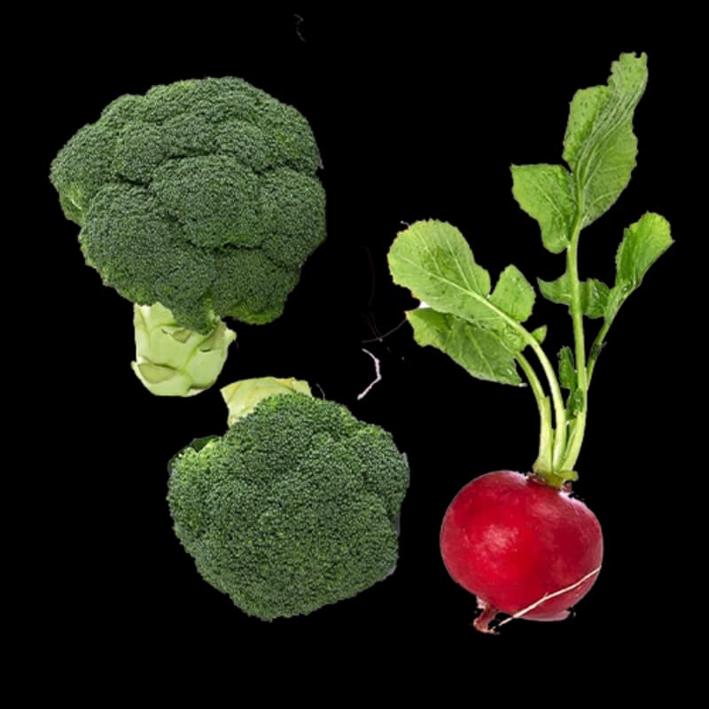 Gartengemüse
