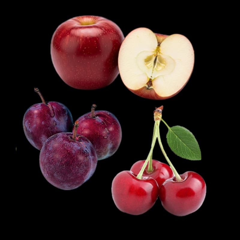 Obstbäume
