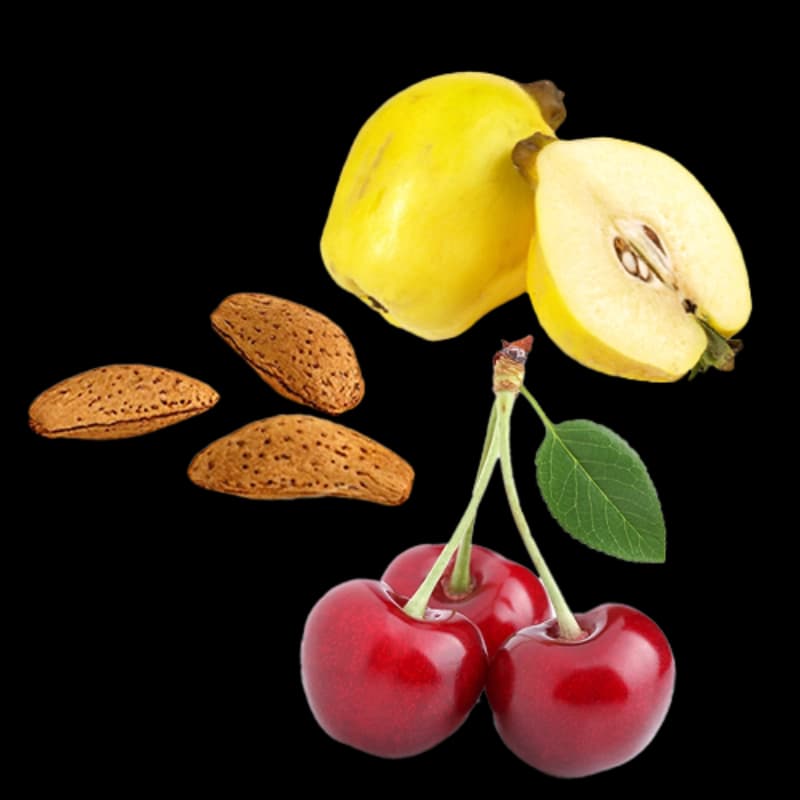 Bio-Obstbäume