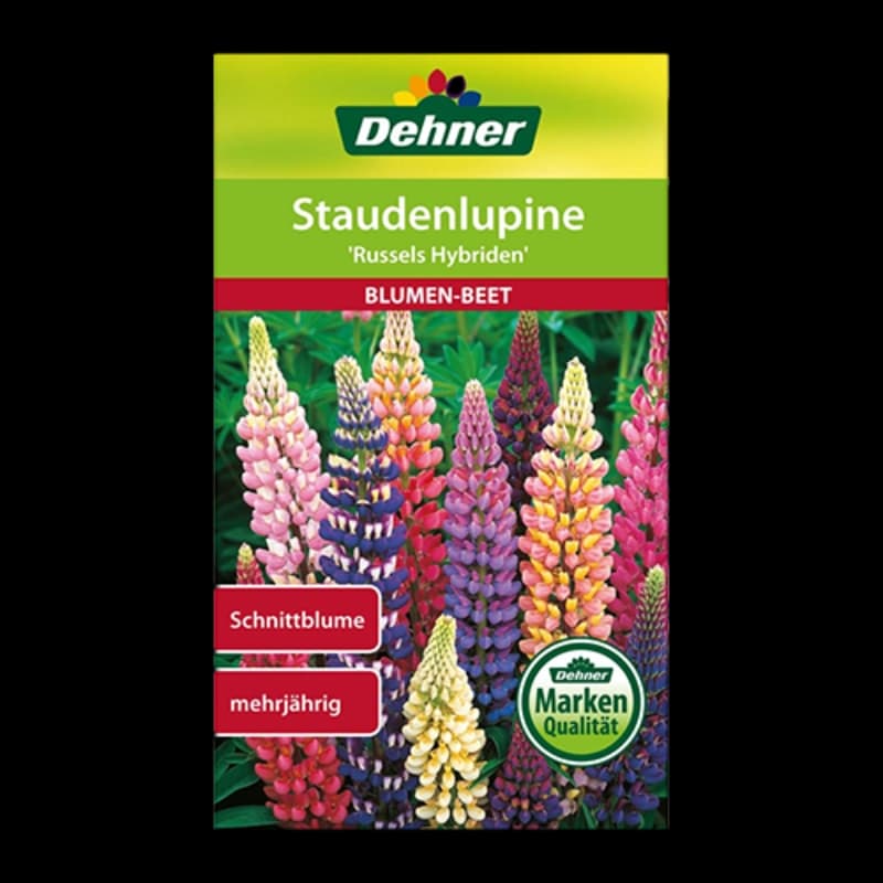 Blumensamen