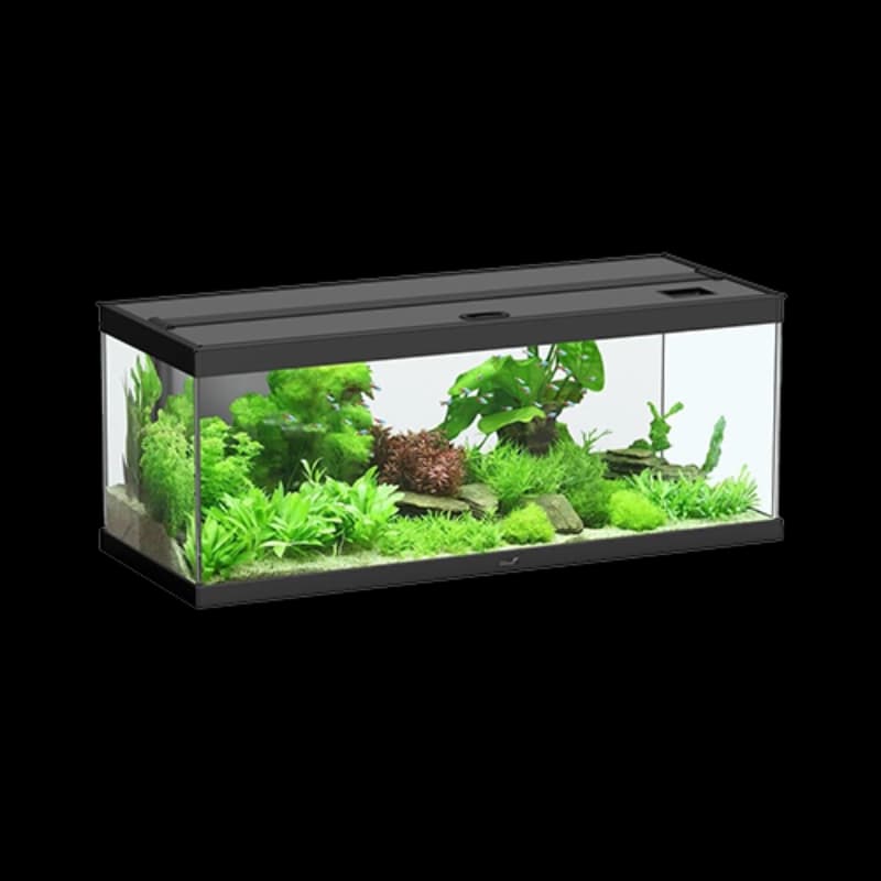 Einzel Aquarien