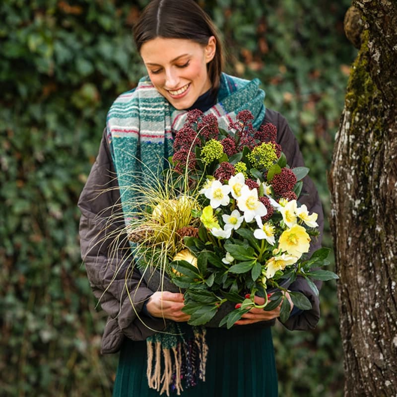 Herbstblumen