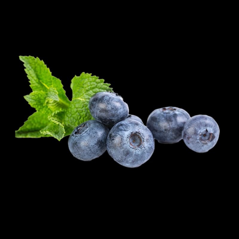 Heidelbeeren