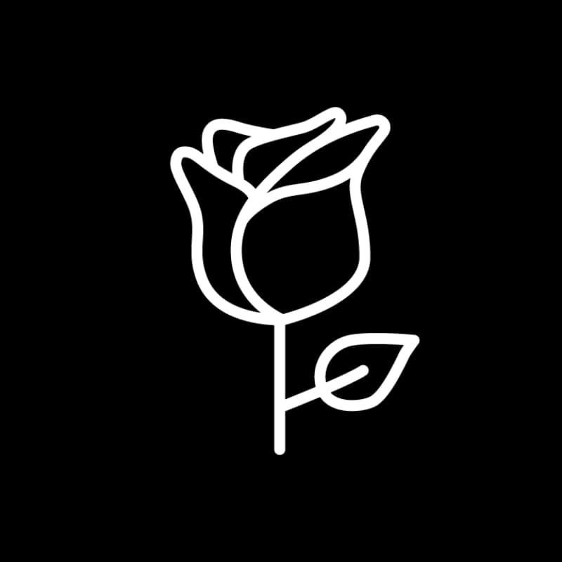 Pflegemaßnahmen Rosen