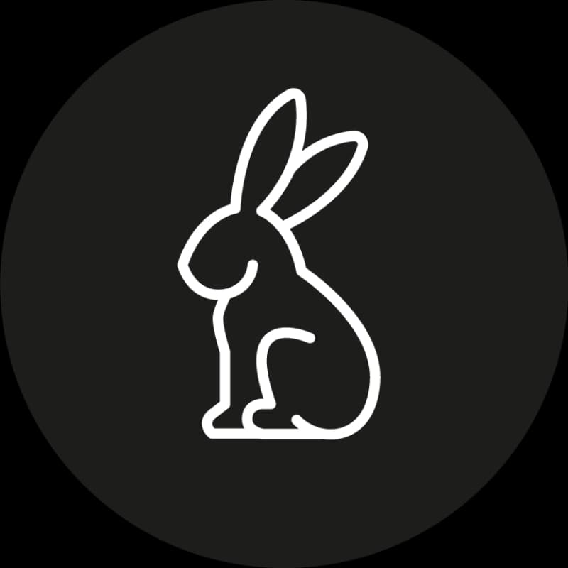 3 Tage Ankommen & Beobachten