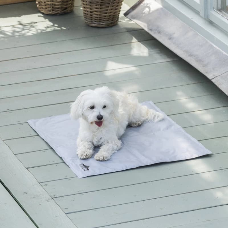 Hundedecken