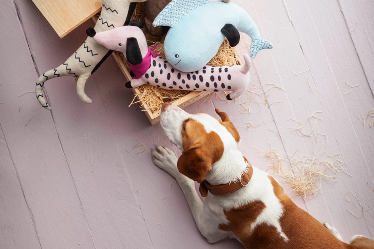 Hundespielzeug