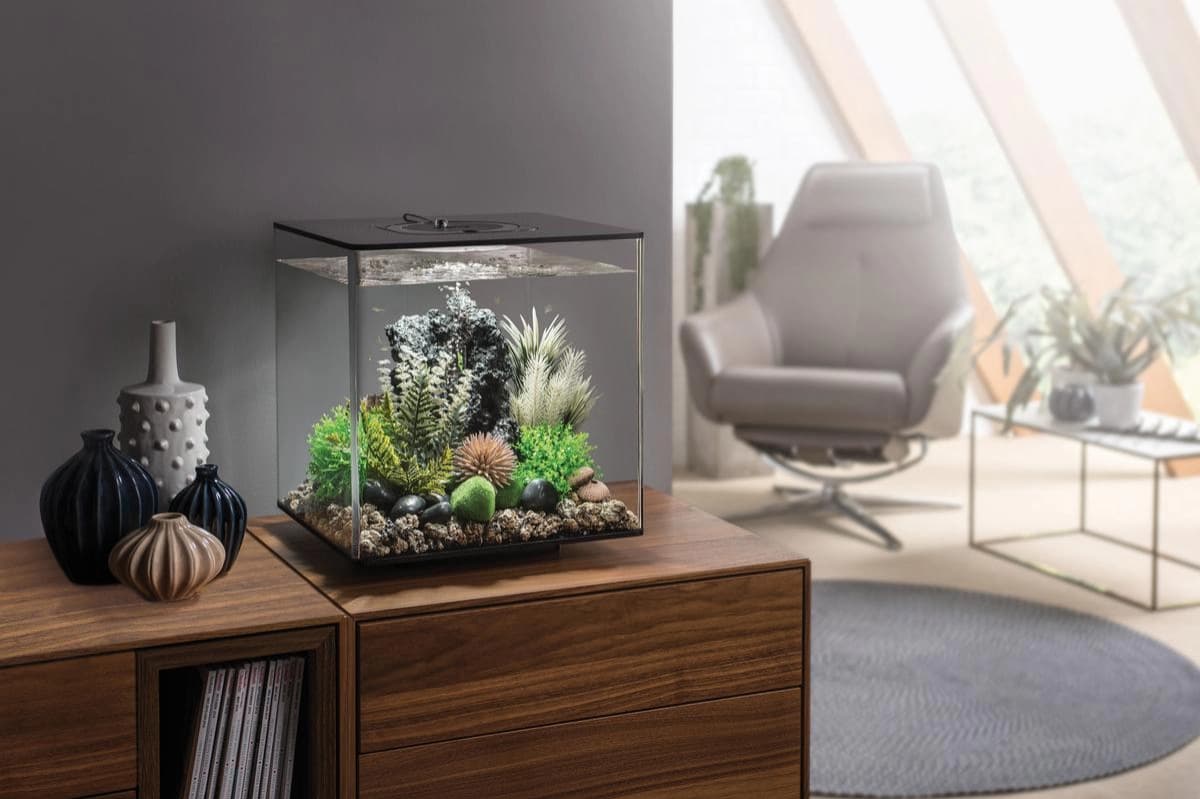 Aquarium einrichten