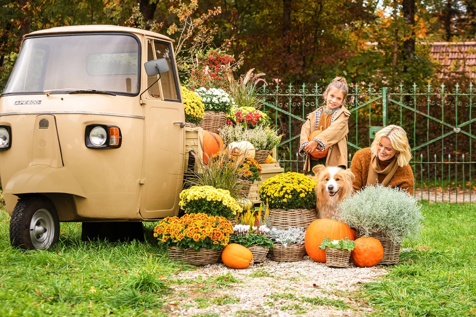 Unsere Herbst-Highlights sind da